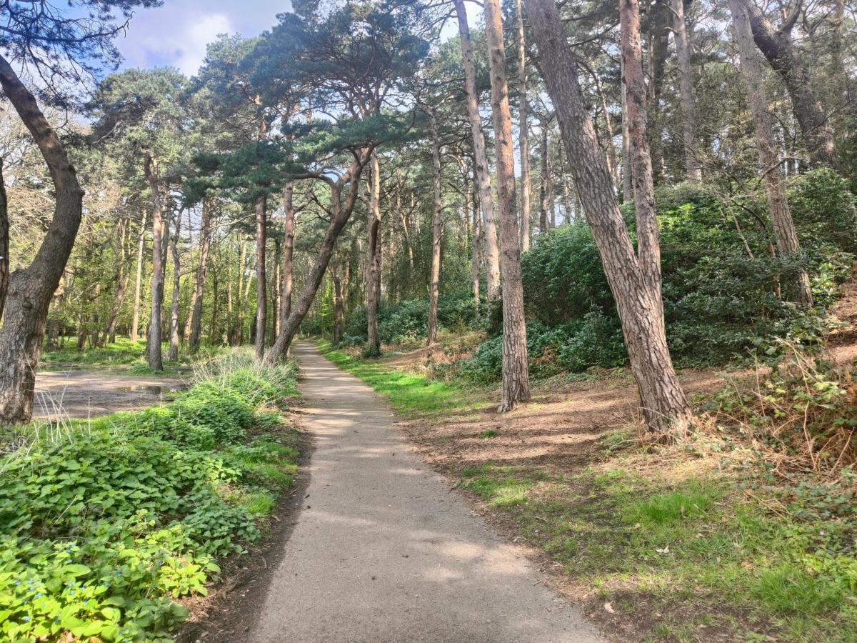 Peaceful Getaway In Forested Park Bournemouth Exterior foto